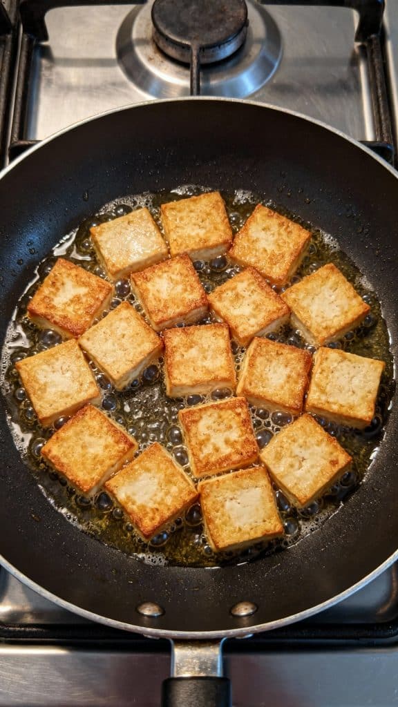 Teriyaki Tofu with Rice and Broccoli