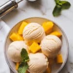 Vegan Cashew Ice Cream