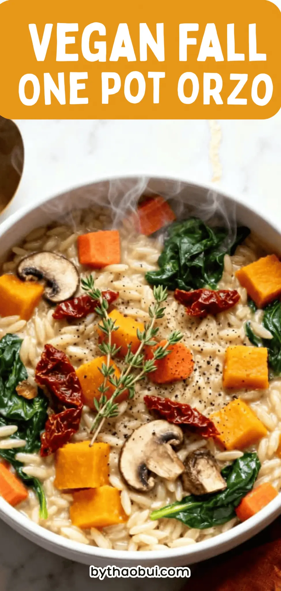 Fall Oneg Vegan Fall One Pot OrzoOne Pot Orzo