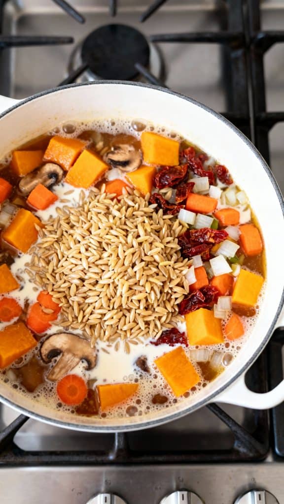 Vegan Fall One Pot Orzo