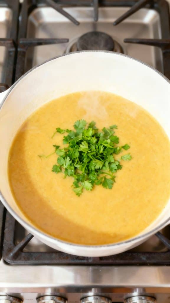 Creamy Vegan Vegetable Soup Delight