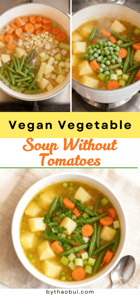 Vegan Vegetable Soup Without Tomatoes (3)