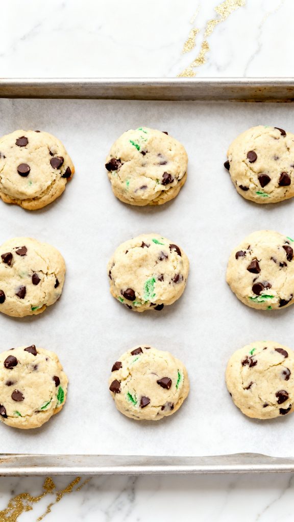 Vegan Mint Chocolate Cookies