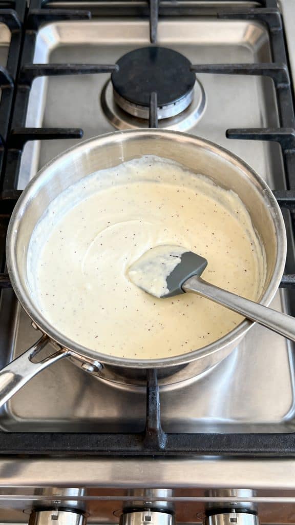 Paleo Vegan Vanilla Ice Cream