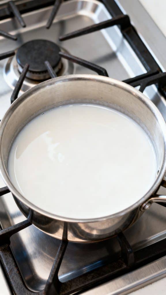 Vegan Dairy-Free Ice Cream