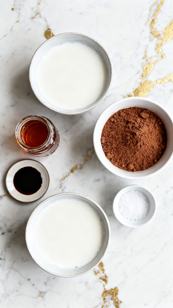 Vegan Chocolate Coconut Milk Ice Cream